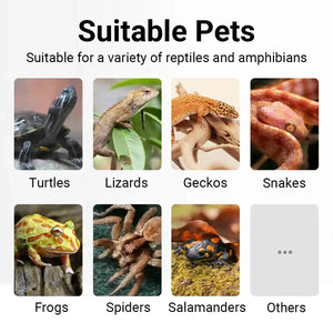 Climbing Pet Rainforest Landscape Moss Carpet Pet Horned Frog Pad