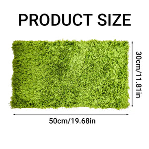 Climbing Pet Rainforest Landscape Moss Carpet Pet Horned Frog Pad