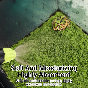 Climbing Pet Rainforest Landscape Moss Carpet Pet Horned Frog Pad