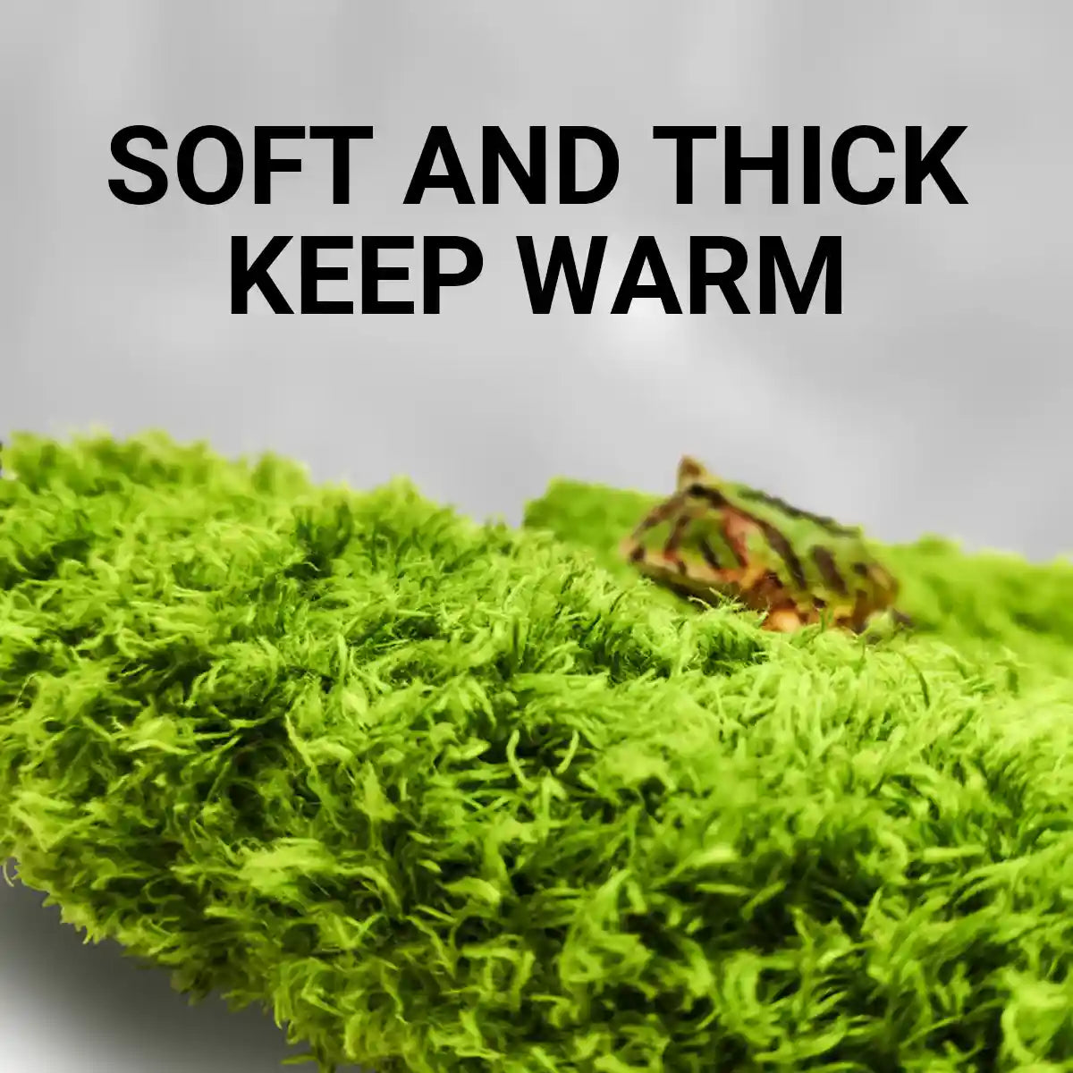 Climbing Pet Rainforest Landscape Moss Carpet Pet Horned Frog Pad