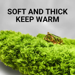 Climbing Pet Rainforest Landscape Moss Carpet Pet Horned Frog Pad