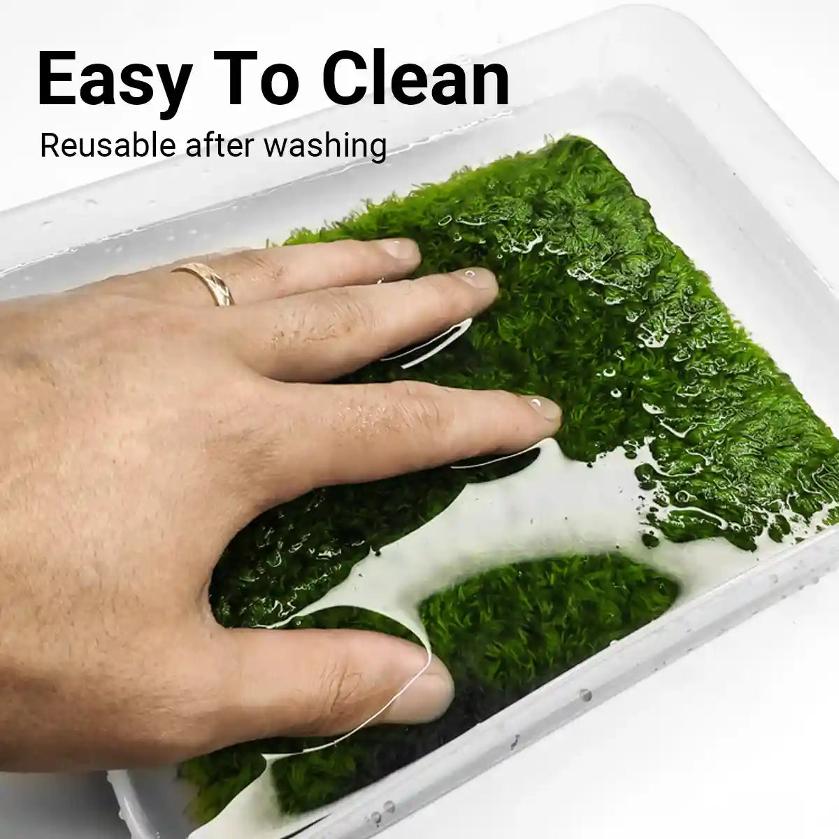 Climbing Pet Rainforest Landscape Moss Carpet Pet Horned Frog Pad