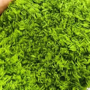 Climbing Pet Rainforest Landscape Moss Carpet Pet Horned Frog Pad