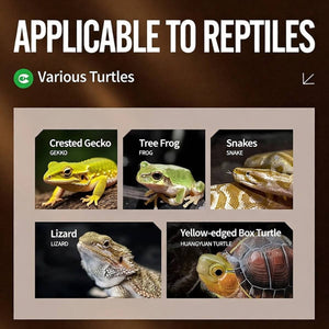 Reptile Pine Bark Bedding - Forest Floor Vivarium Padding (Small)