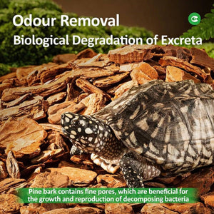 Reptile Pine Bark Bedding - Forest Floor Vivarium Padding (Small)