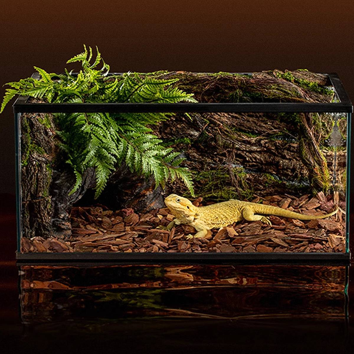 Reptile Pine Bark Bedding - Forest Floor Vivarium Padding (Small)