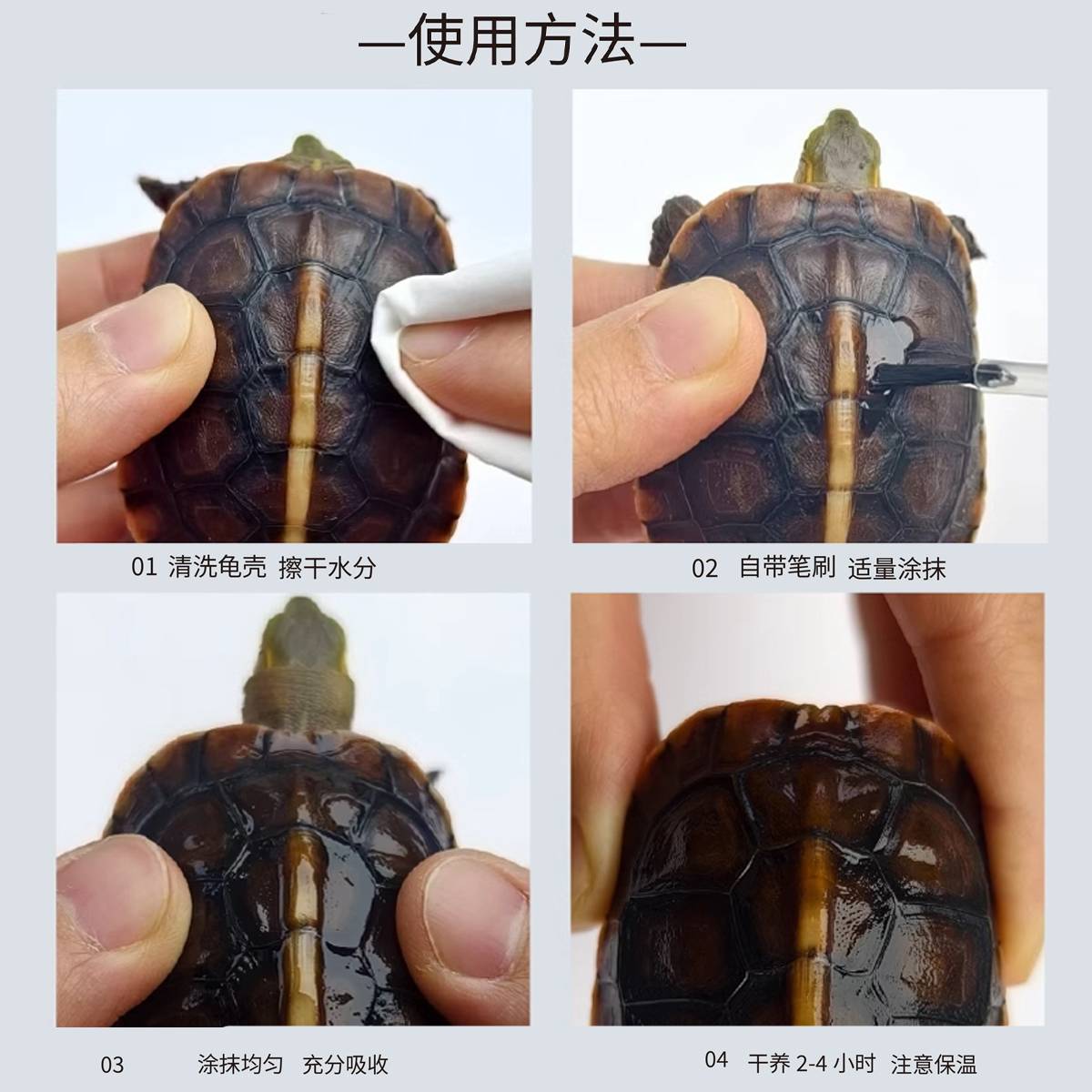 Turtle Shell Oil - Bacteriostatic Moisturizing Tortoise Care