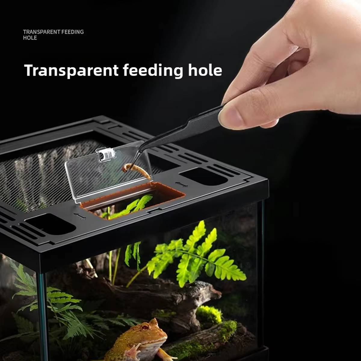Reptile Terrarium - Cleen Climbing Pet Landscape Vivarium Tank