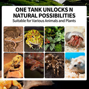 Reptile Habitat Tank Ventilated Terrarium Enclosure