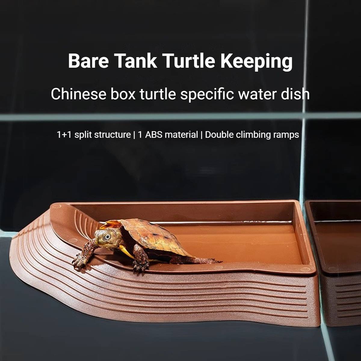 Reptile Basking Platform - Floating Turtle Frog Gecko Habitat (S)
