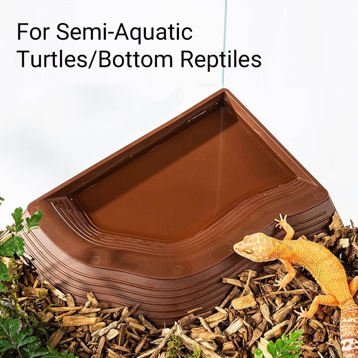 Reptile Basking Platform - Floating Turtle Frog Gecko Habitat (S)