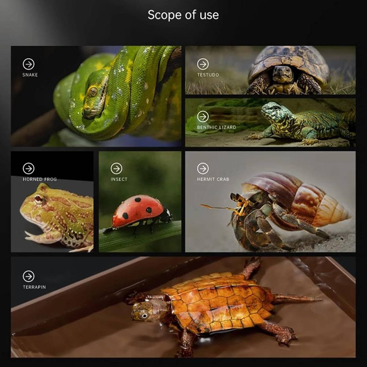 Reptile Basking Platform - Floating Turtle Frog Gecko Habitat (S)