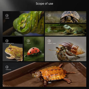 Reptile Basking Platform - Floating Turtle Frog Gecko Habitat (S)