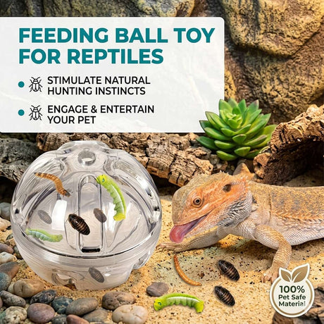 Interactive foraging feeder toy for birds and reptiles – product view 2