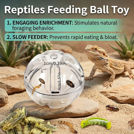 Interactive foraging feeder toy for birds and reptiles