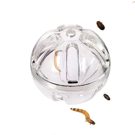 Interactive foraging feeder toy for birds and reptiles – product view 13