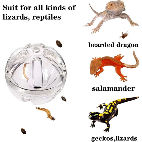 Interactive foraging feeder toy for birds and reptiles – product view 6