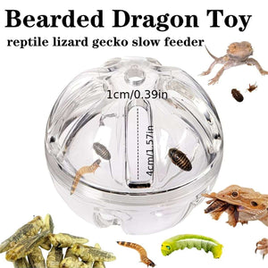 Bird Foraging Toy - Parrot Lizard Reptile Feeding Box