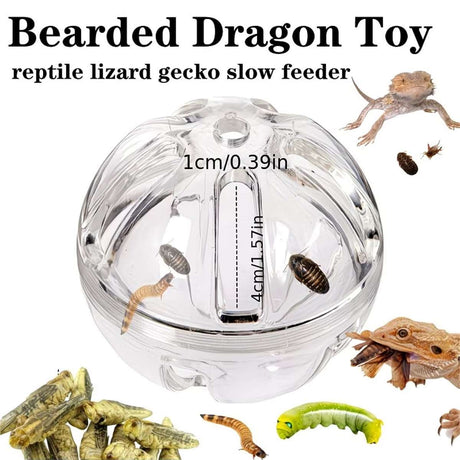Interactive foraging feeder toy for birds and reptiles – product view 10