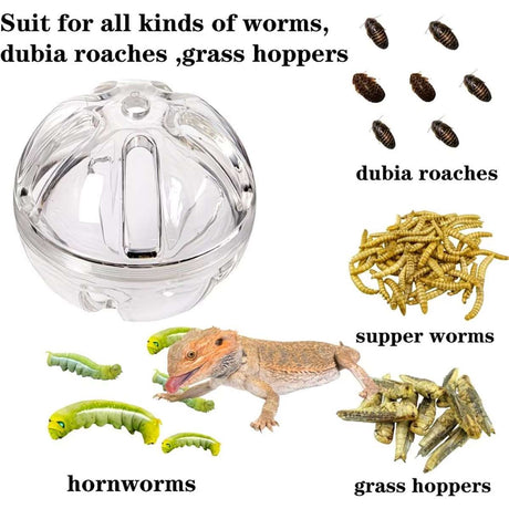 Interactive foraging feeder toy for birds and reptiles – product view 11