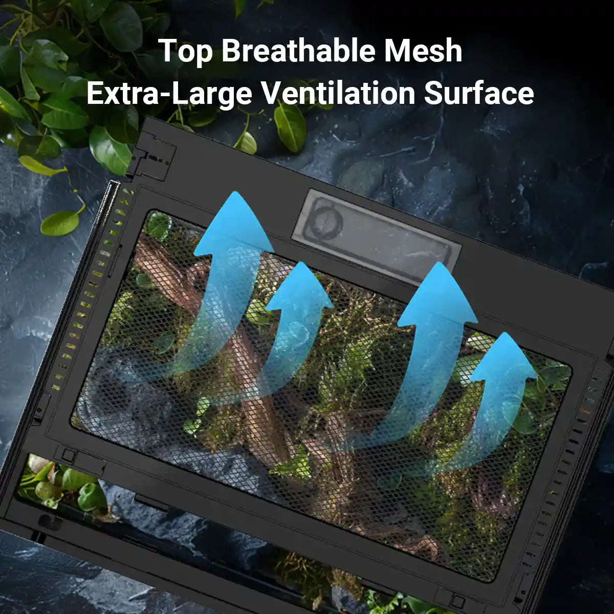 Glass Reptile Terrarium Habitat Tank