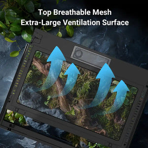 Glass Reptile Terrarium Habitat Tank