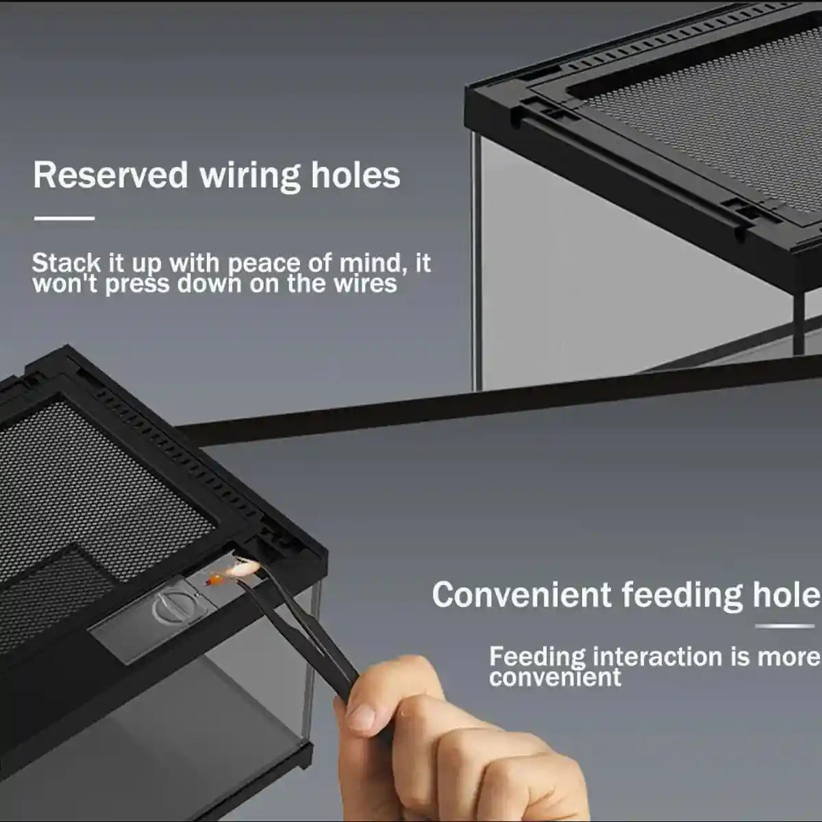 Glass Reptile Terrarium Habitat Tank