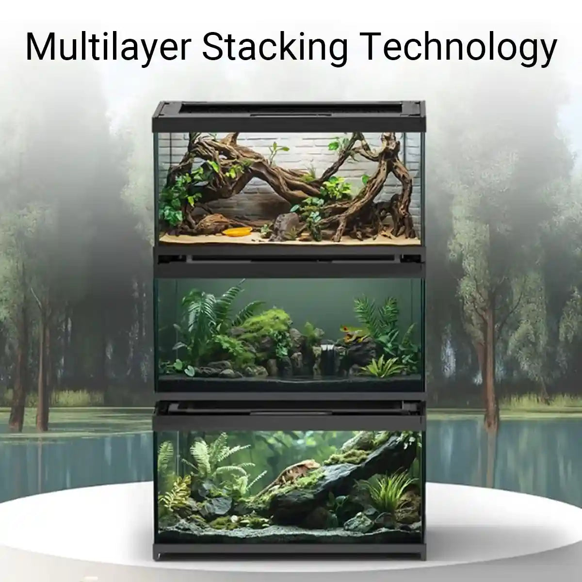 Glass Reptile Terrarium Habitat Tank