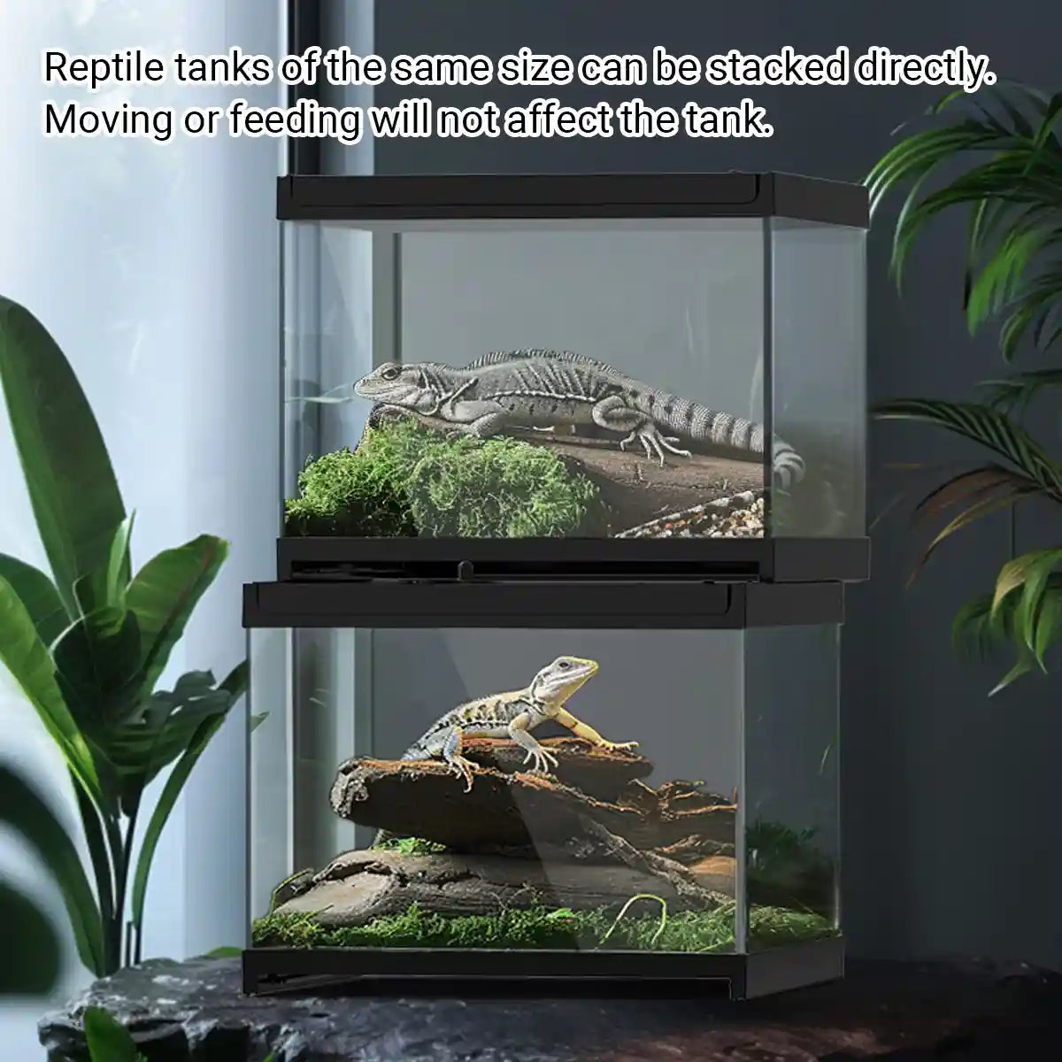 Glass Reptile Terrarium Habitat Tank