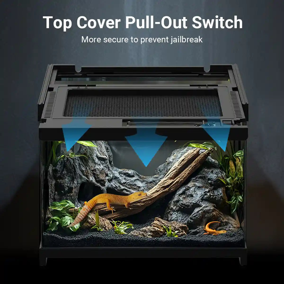 Glass Reptile Terrarium Habitat Tank