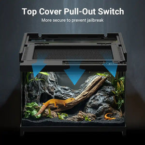 Glass Reptile Terrarium Habitat Tank