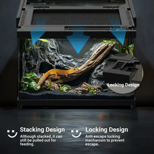 Glass Reptile Terrarium Habitat Tank