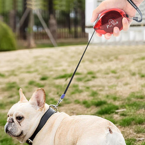 Retractable Dog Leash With One-Button Lock