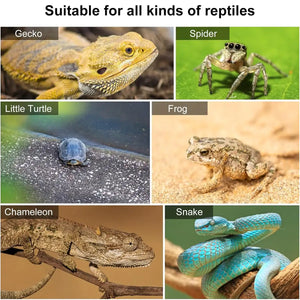 Natural Terrarium Reptile Climbing Frame with Hemp Rope for Pets