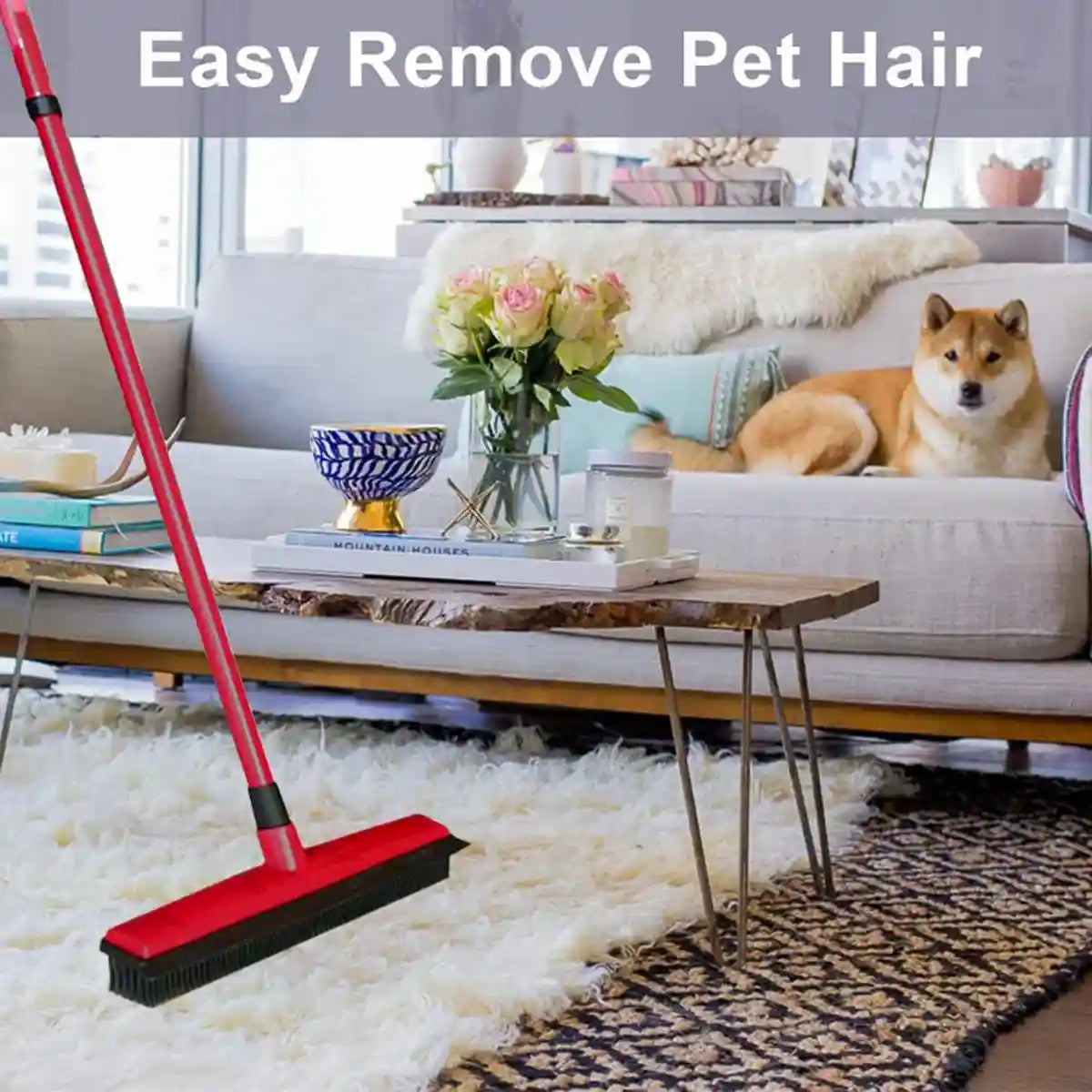 Rubber Broom Pet Hair Remover