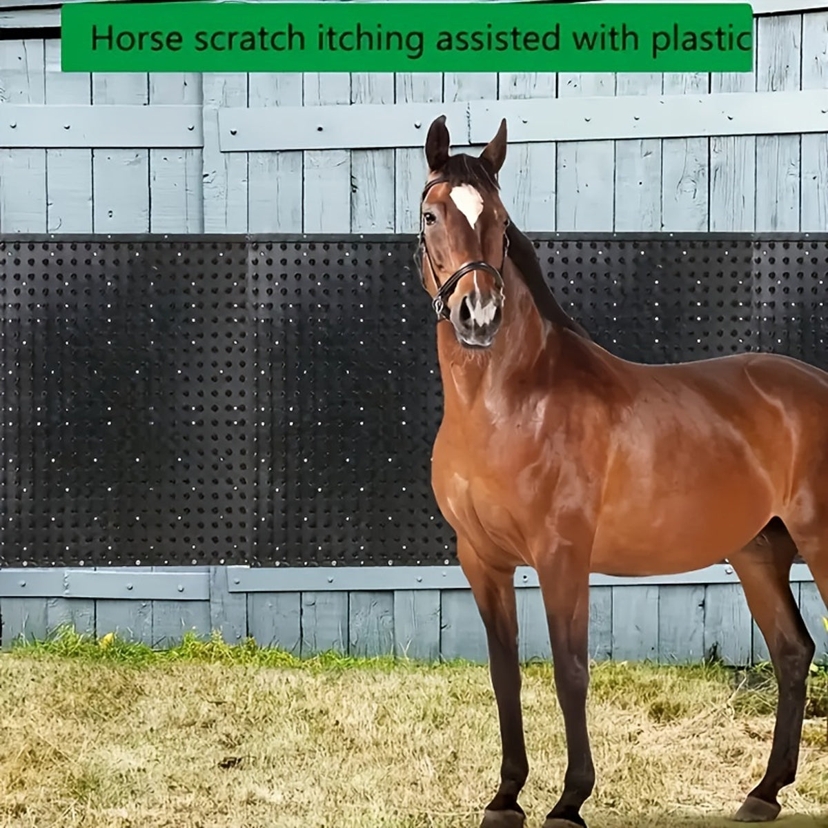 Durable Equine Scratching Pad for Horses and Cattle Grooming