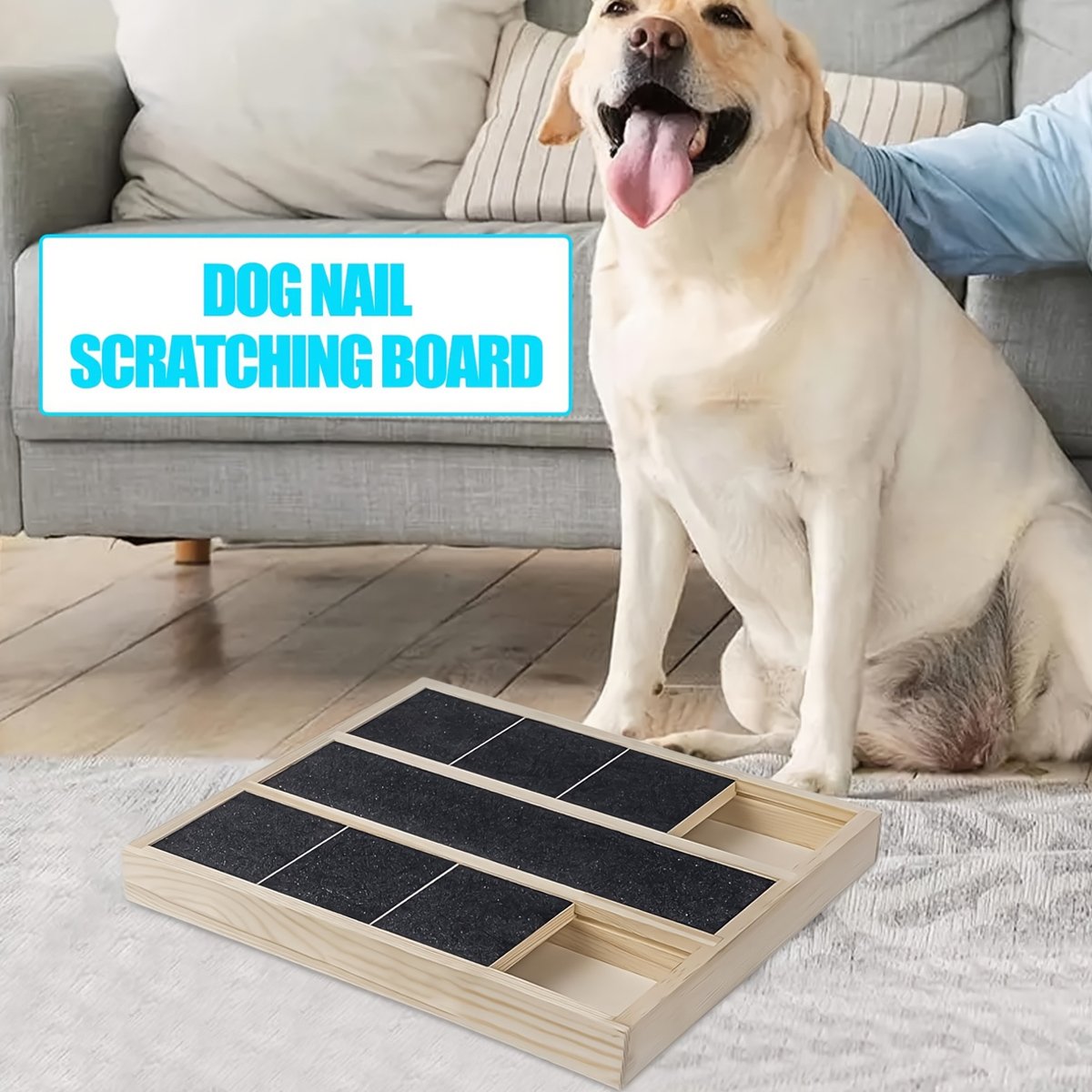 Dog Scratching Board - Pet Nail Filing Claw Grinder