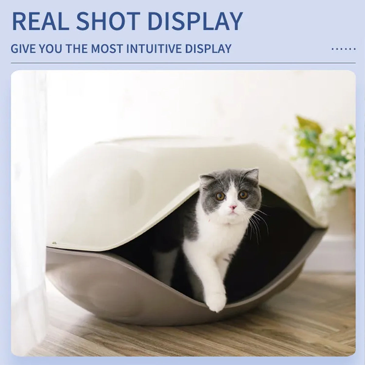 Semi Enclosed Eggshell Cat Bed for Indoor Use