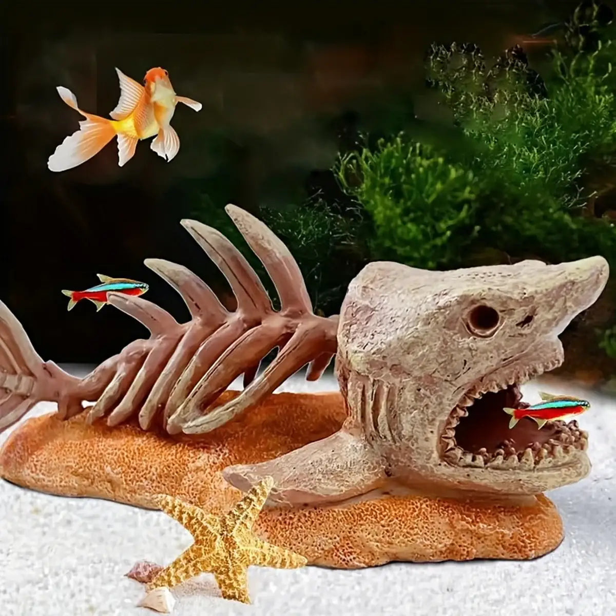 Shark Skeleton Resin Decor – Aquarium Ornament for Dramatic Aquascapes