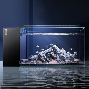 Side Filter Fish Tank - BESSN 50x30 New Generation Aquarium Set
