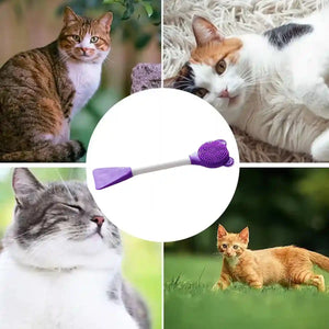 Pet Brush Silicone Exfoliating Tool