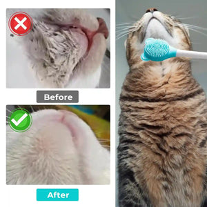 Pet Brush Silicone Exfoliating Tool