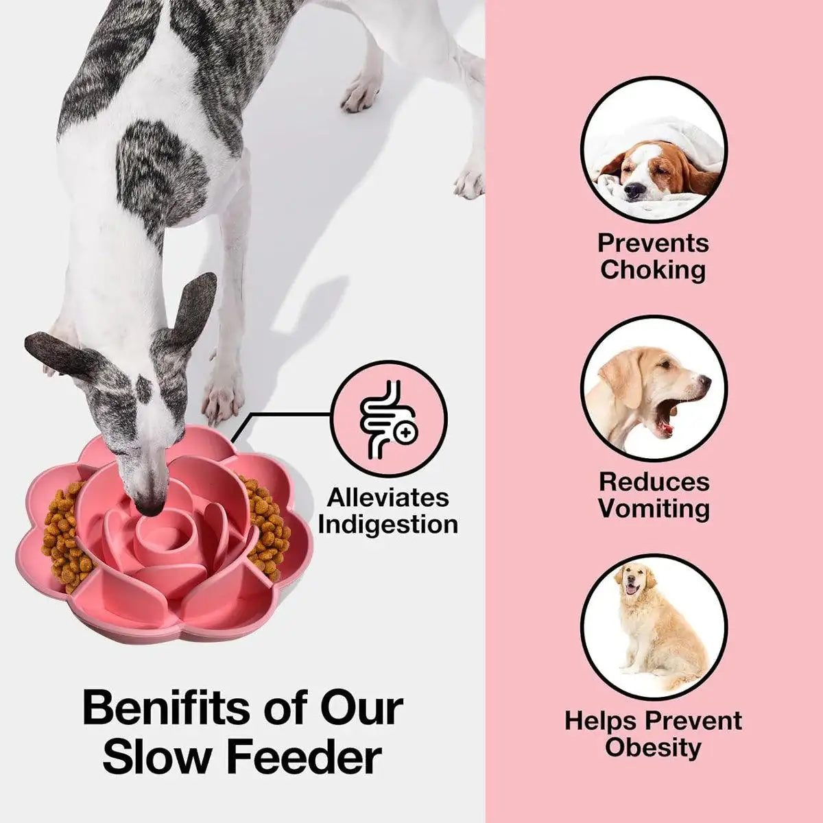 Rose-Shaped Slow Feeder Dog Bowl with Non-Slip Suction Base