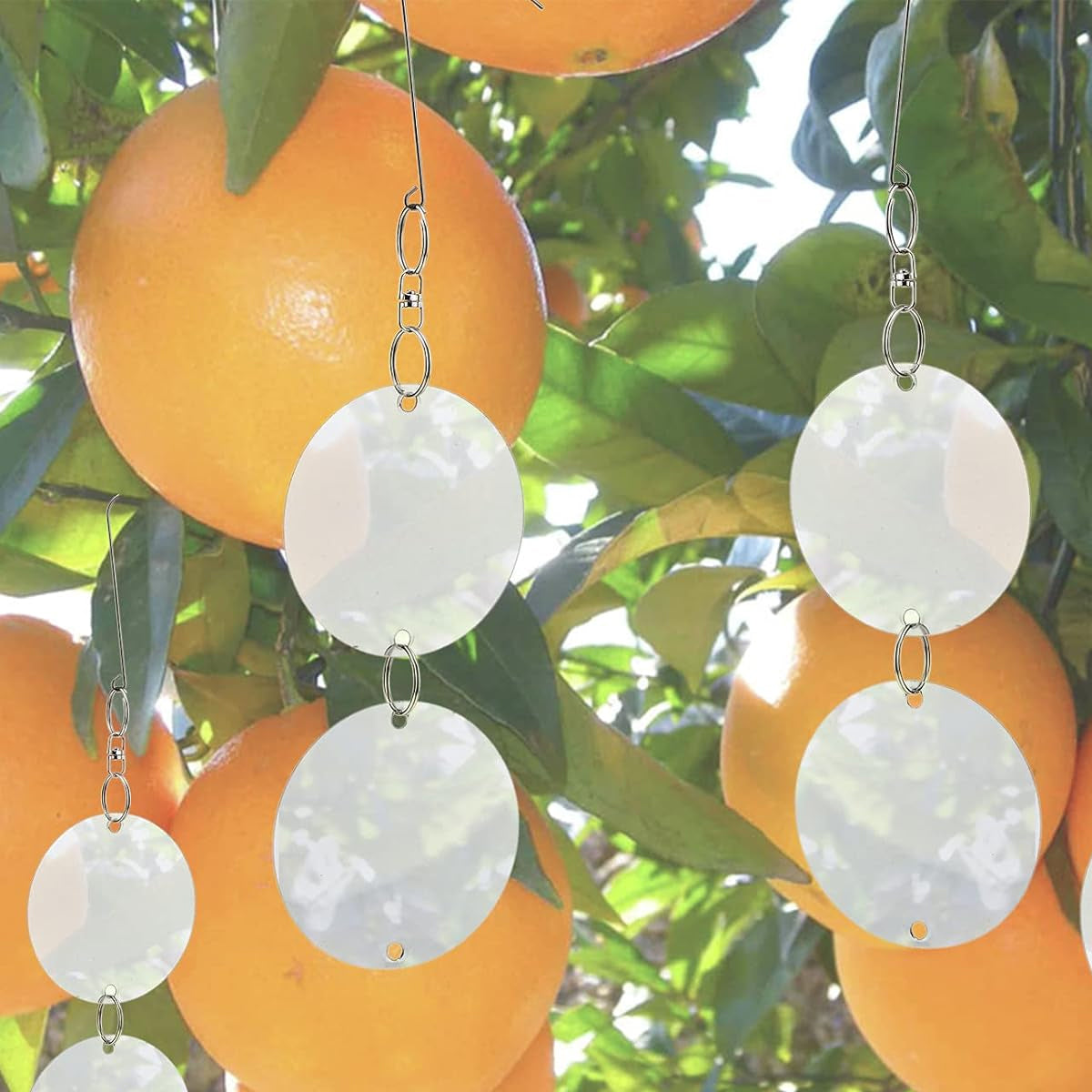 Reflective Bird Deterrent Discs Set Hanging Garden Protection