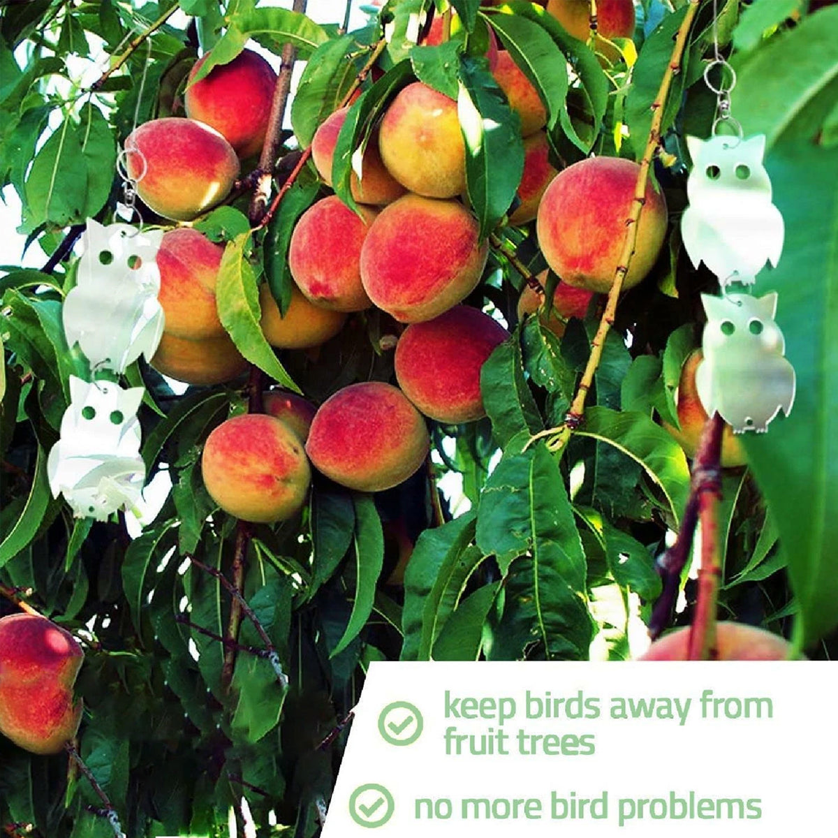 Reflective Bird Deterrent Discs Set Hanging Garden Protection