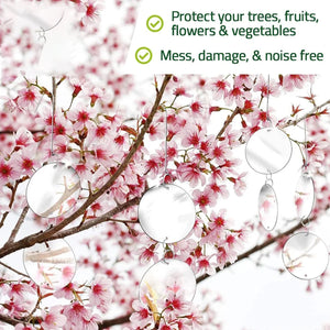 Reflective Bird Deterrent Discs Set Hanging Garden Protection