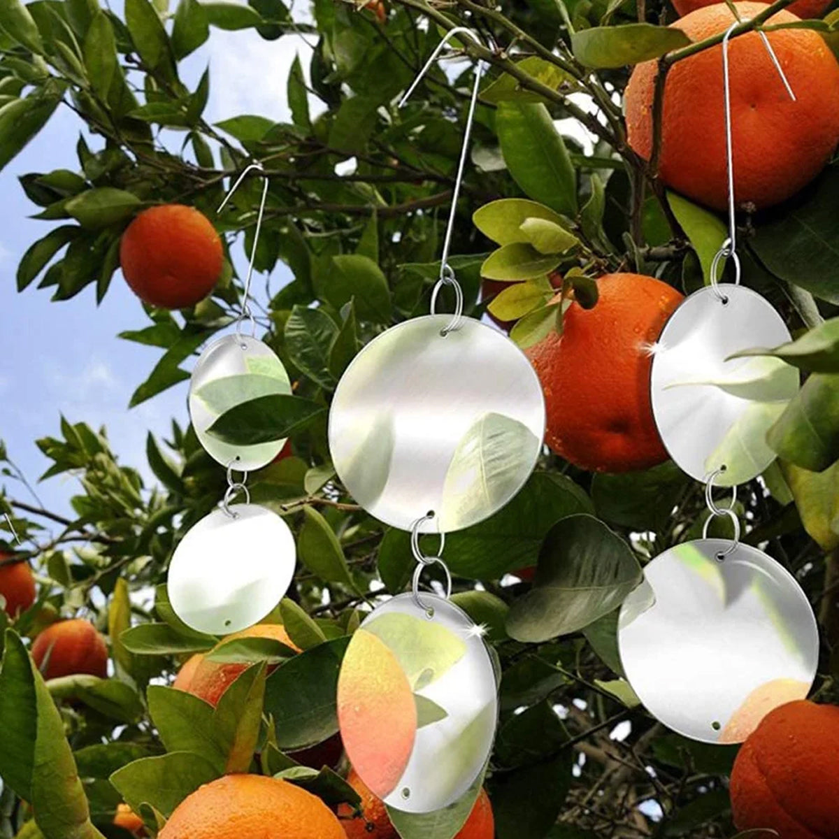 Reflective Bird Deterrent Discs Set Hanging Garden Protection