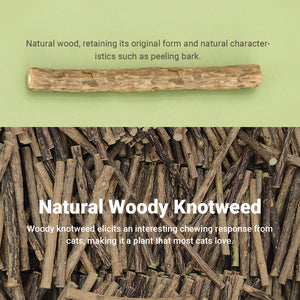 Simulation Shallot Cat Toy with Silvervine