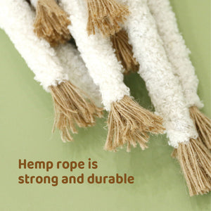 Simulation Shallot Cat Toy with Silvervine