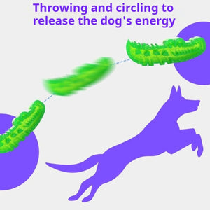 Dog Slow Feeder Chew Toy